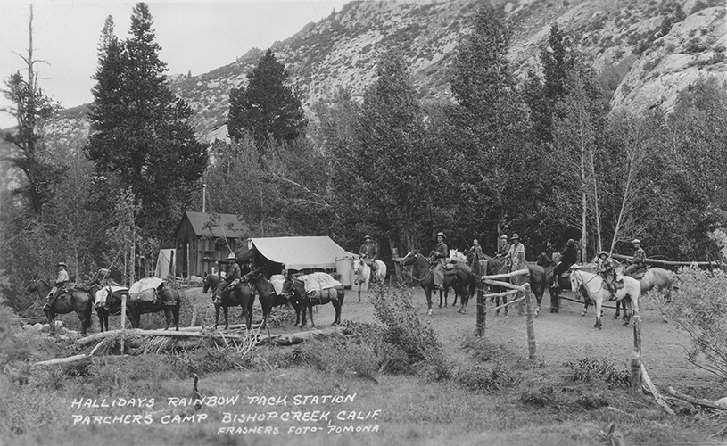 halliday pack trains